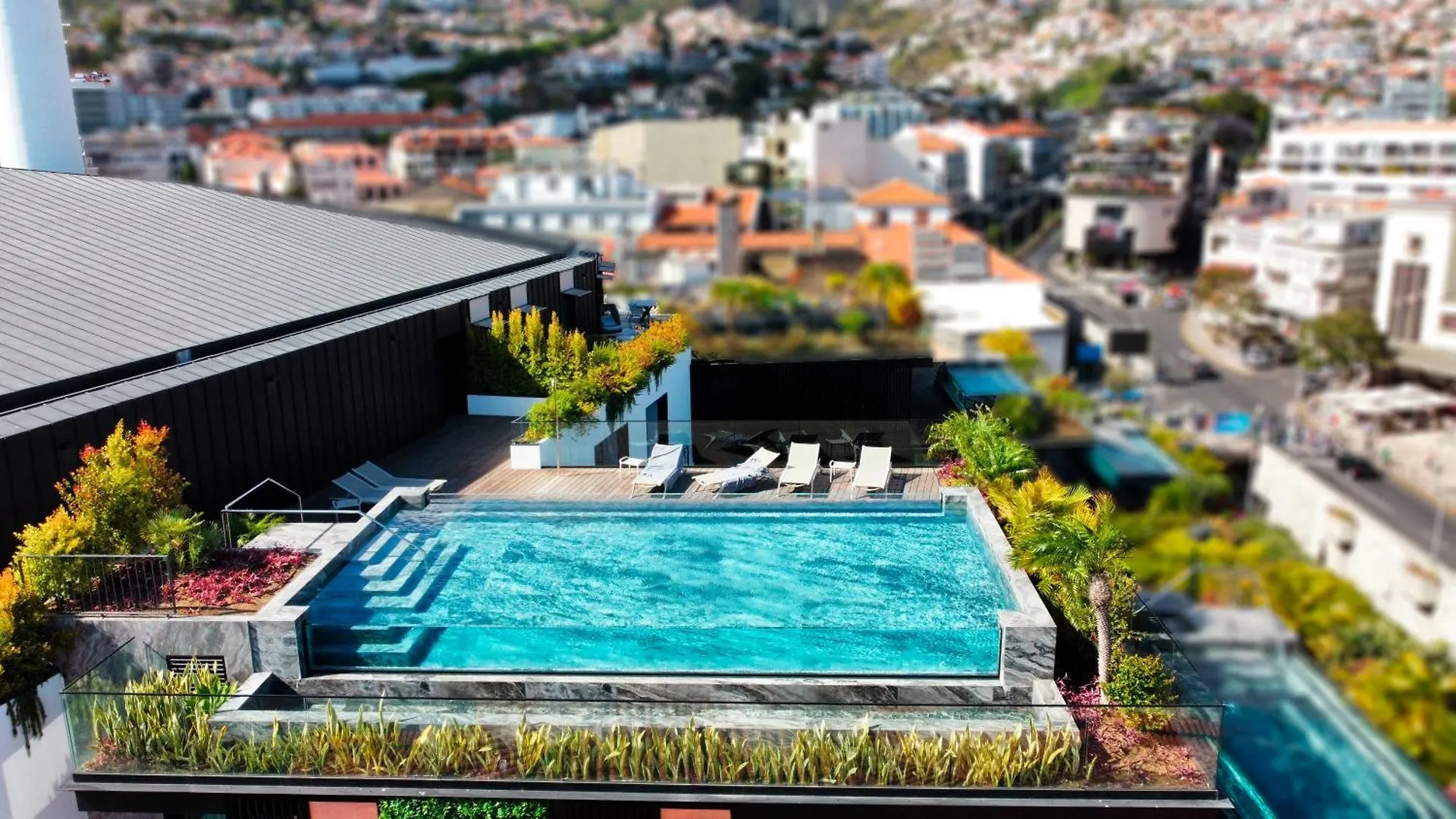 Daysy Loft By Lovelystay Funchal